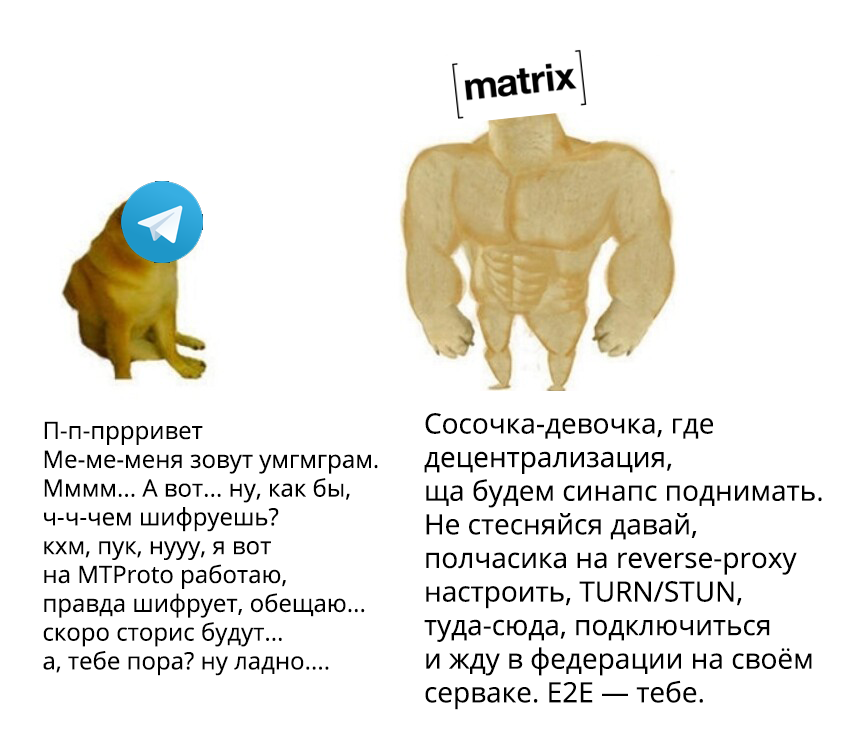 Matrix Telegram Bridge